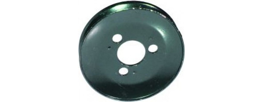 PULEGGIA POMPA ACQUA 